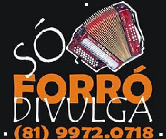 SÓ FORRÓ DIVULGA - Promoções Artísticas