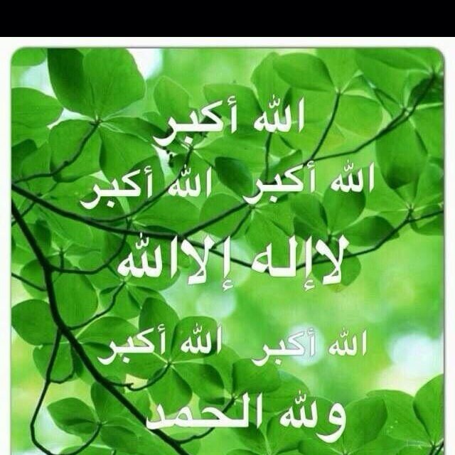 علي م ع العساف
