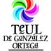 Teúl Pueblo Mágico (@turismoteul) Twitter profile photo