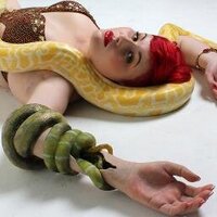 altlimbpro (@altlimbpro) 's Twitter Profile