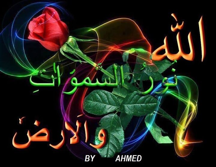 BtiQnet's profile picture. 