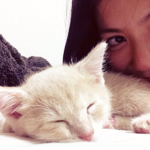 deguuuu's profile picture. チャイさーーーーん