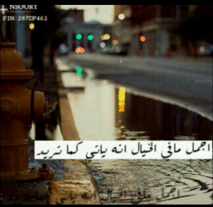 ♡♡‏: ‏ﺂثقُ بِ نَفسِي نعَم لڳني لآ أرفعُهَآ عَن مُستَوى البشَر ولآ أسستَصغِرُ، مَن حَحولي أبَدآ.♡♡