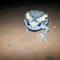 simon terrassier (@sterrassier) 's Twitter Profile