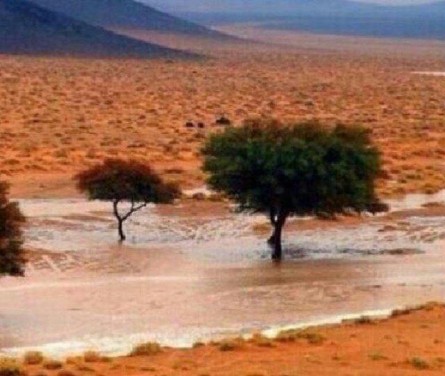 لا إله إلا الله .. محمد رسول الله ..