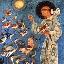 Son tornato sulla terra per dire al gallo di smetterla di svegliarmi e ironizzare sul resto del creato.