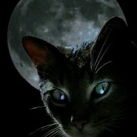 Laura (@laurafg) 's Twitter Profile Photo
