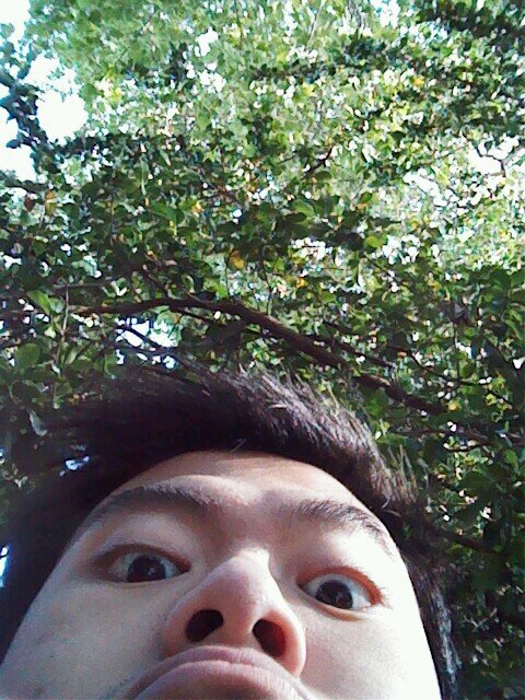 StevenHoang890's profile picture. 