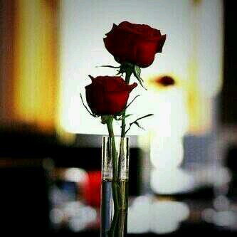 4310Thesystem's profile picture. 