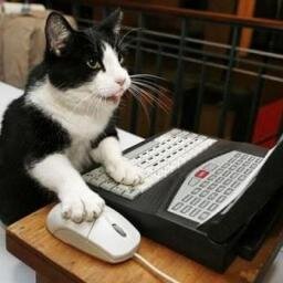 Developer at Rackspace