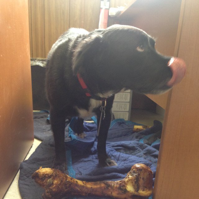 adambarker78's profile picture. 