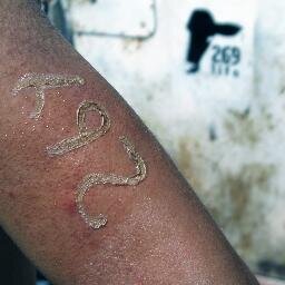 269life_mx's profile picture. Empatía y solidaridad hacia las víctimas de la esclavitud. ¡Liberación animal ahora!