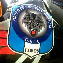 Grupo de Reacción Inmediata Lobos