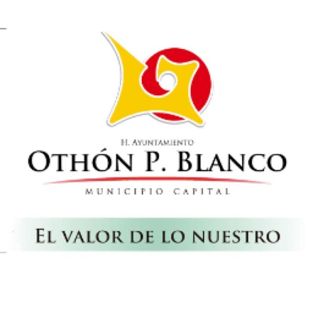 Cuenta oficial de la Coordinación del CITA SARE, ventanilla única en el Municipio de Othón P. Blanco para trámites y registros en la apertura de Empresas