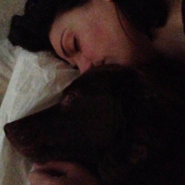Hi I'm lola. Lana Parrilla's dog *barks* And of cource I'm an #EvilRegal #EvilRegalDog (NOT Lana Parrilla)