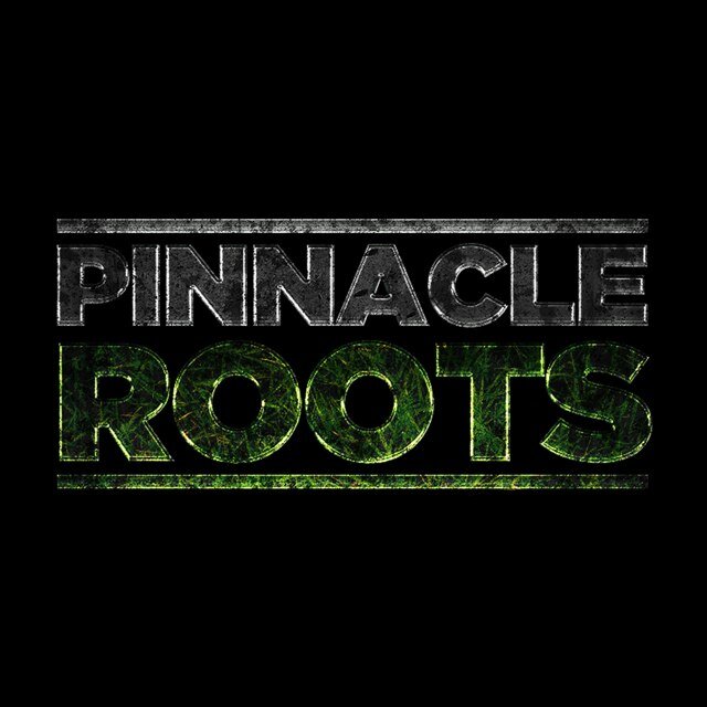 A Movement of Artists. Working together under one name. Pinnacle Roots