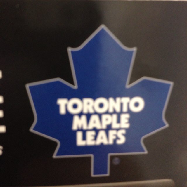 gursh93's profile picture. Die hard Leaf fan who still has hope.