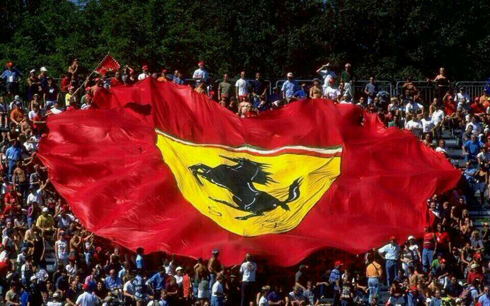 1_frmula's profile picture. 