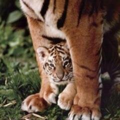 webservice3's profile picture. 