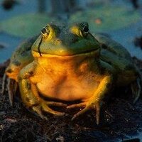 Piotr Leski (@leskipiotr) 's Twitter Profile Photo Piotr Leski (@leskipiotr) 's Twitter Profile Photo
