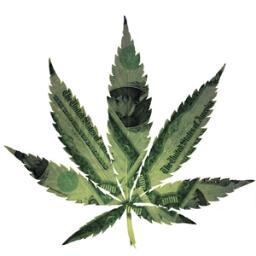 Current news about marijuana legalization, decriminalization and medical marijuana discussion.