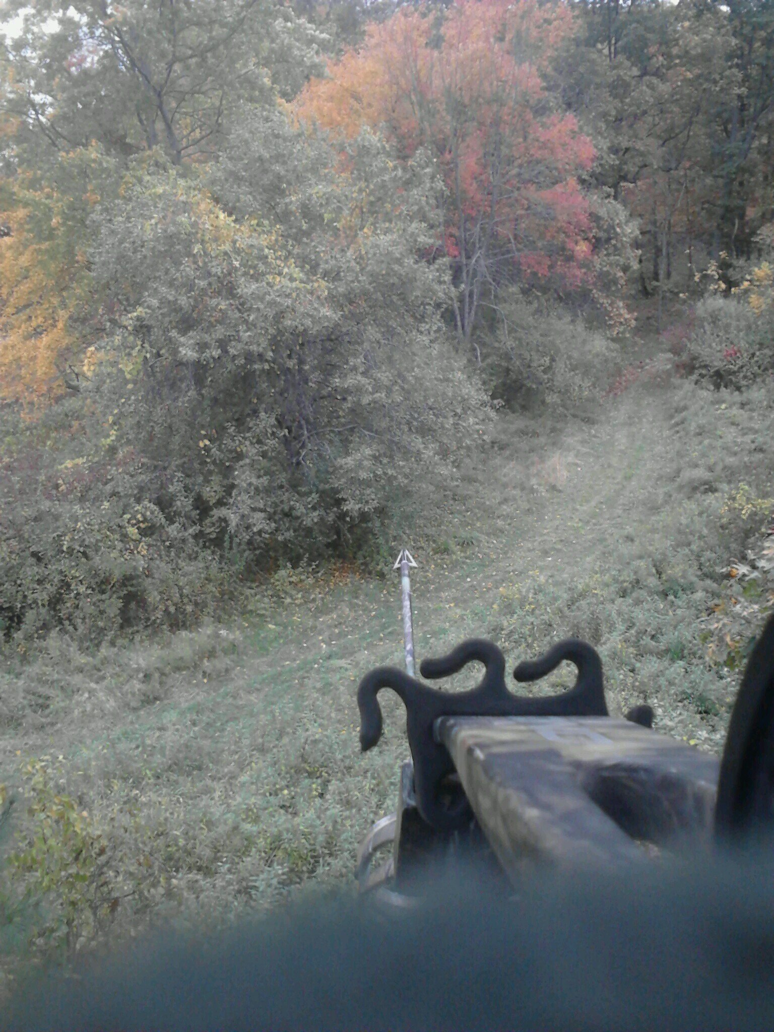 shawn_525's profile picture. 