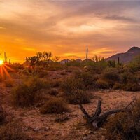 Arlene Helt (@leney368) Twitter profile photo