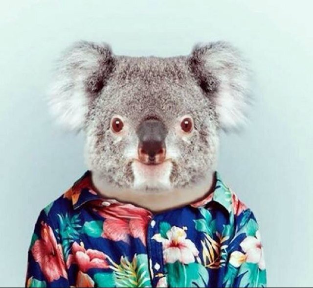 ravoneli's profile picture. 