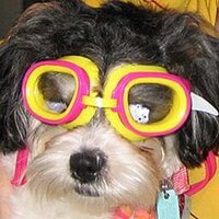 Kelly Kretchek (@kgkretchek) 's Twitter Profile