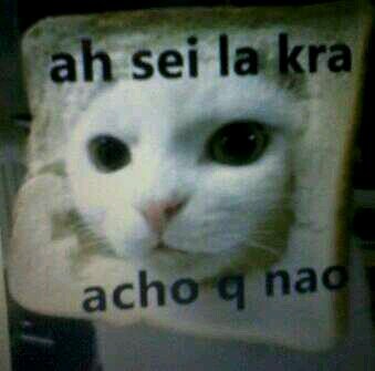 999 noobs leram isso com vc 1000》《