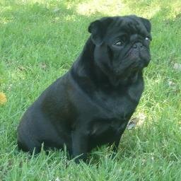 CandasAzorin's profile picture. burf burf