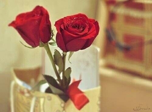 ‏سَ آكتفي؛بَ اَلُلِہَ وُحَدََهُ فَ إَنُہِ نِعُمَ اَلُمِوُلَىَ وَ نِعُمَ اَلوَكَيِلَ