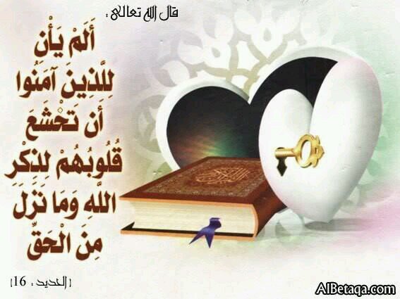 اعرف الفرق بين الحياة والواقع