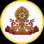 katypertinez's profile picture. conciencia. Somos