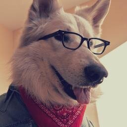 A very friendly, mischievous hipster dog. These tweets do not represent my owner. I tend to be obedient on Tuesdays.