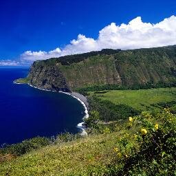 travelclub5's profile picture. The Cheapest Travel Rates on the Internet. Your place for cheap travel packages, cheap flights, cheap hotels and cheap car rentals around the world.