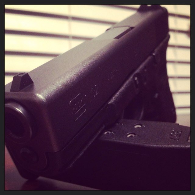 Firearm enthusiast