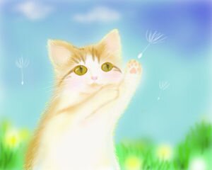 AKBとジブリアニメをこよなく愛し、週末のドライブを楽しみ仕事に励むウェブデザイナーです。
iPhone5S購入しました。とても満足しています。忙しい毎日ですがいろんな話題でつながりたいです。　#followme