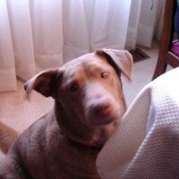 MT71 (@gbmike) 's Twitter Profile