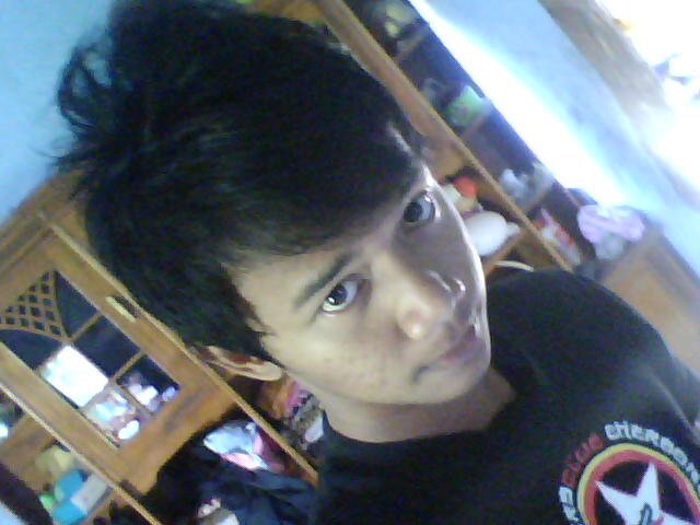 PELAUT