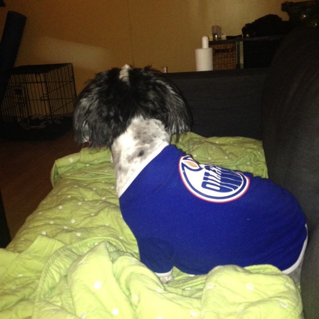 Oilers hockey ... Yes I take the good with the bad ... Things will turn around!