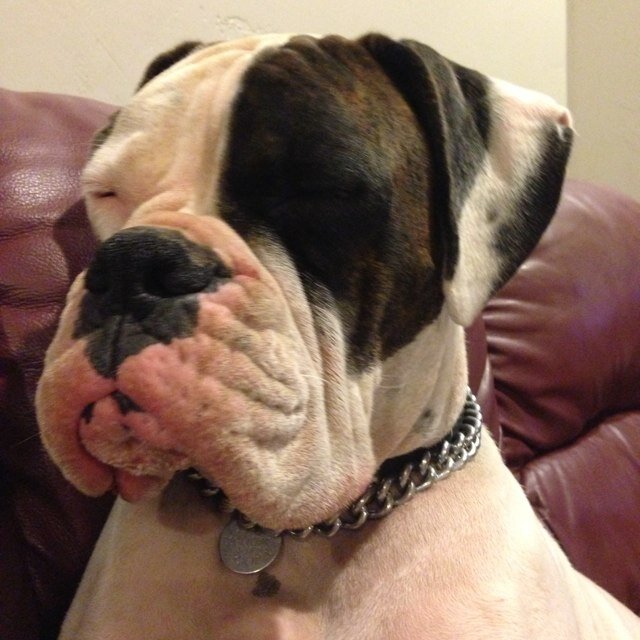 socallp's profile picture. 