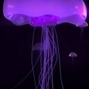 Todd Stephens - @tigertodd151 - Twitter