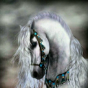 ضناني الشوق (@0546828913) Twitter