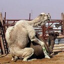 Barry Voight - @oldboyfl42 - Twitter