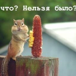 SPADbIPb's profile picture. 