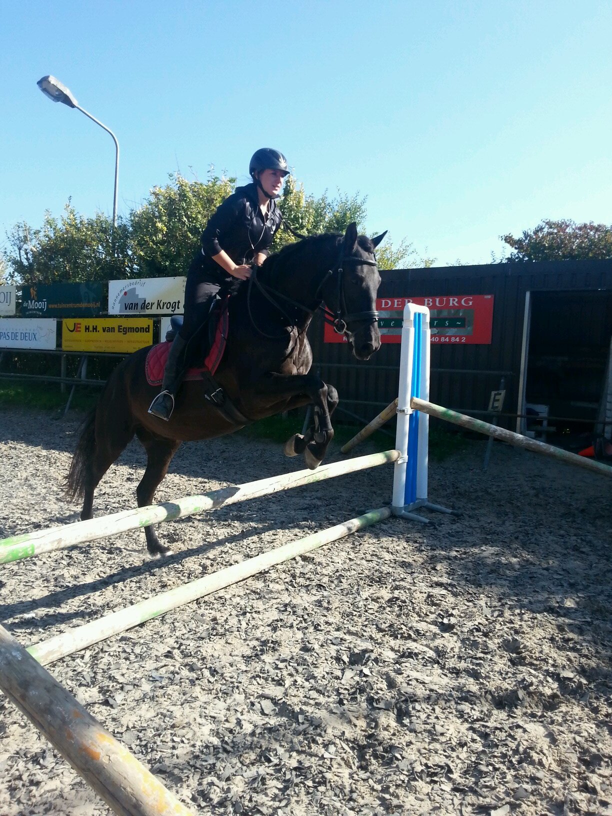 Rijnsburg!!

Love my dinnies 3