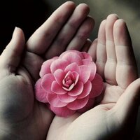 Ghadeer al-jumaa (@ghadeeraljumaa) Twitter profile photo