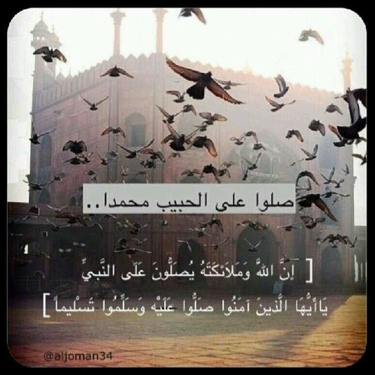 كثيراً ما اخشى ان اودع الحياة فجأة دون ان ارتب اعذاري ، توبتي ، وداعي و أحضن امي واحبتي :'(