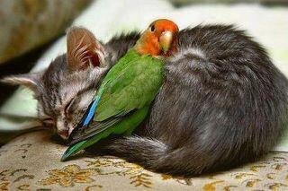 :-*I AM OPPEN :-* I am a poor man live in Kerala. All tweetters welcome and my sweet loves . [ YOU ARE WELCOME TO KERALA]